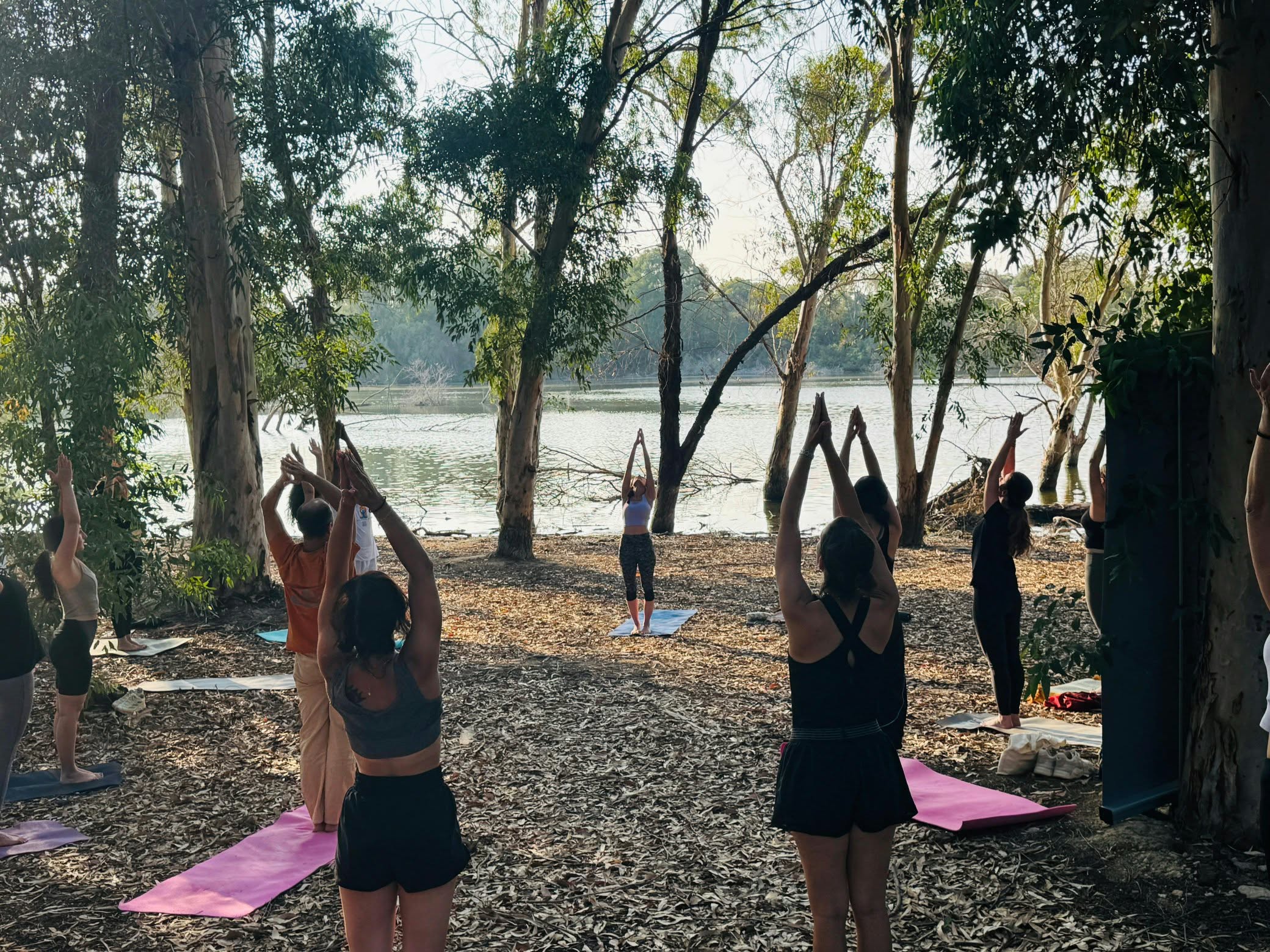 Yoga & Mindful Movement